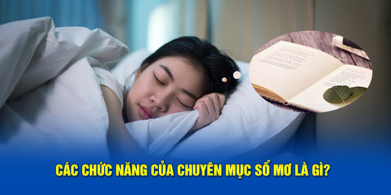 Chức năng tham khảo trong chuyên mục sổ mơ