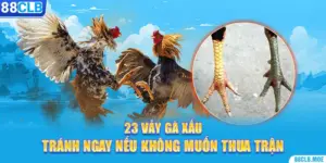 23 vay ga xau tranh ngay neu khong muon thua tran 300x150 1