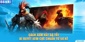 cach xem vay ga tot bi quyet xem cuc chuan tu su ke 300x150 1