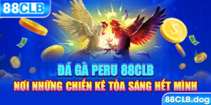 da ga peru 88clb noi nhung chien ke toa sang het minh 300x150 1